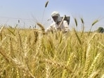 Agriculture (HT File)