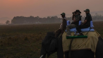 Prime Minister Narendra Modi enjoyed an ‘elephant ride’ while visiting Assam's Kaziranga National Park on Saturday morning. (X/@narendramodi) Prime Minister Narendra Modi enjoyed an ‘elephant ride’ while visiting Assam's Kaziranga National Park on Saturday morning. (X/@narendramodi)