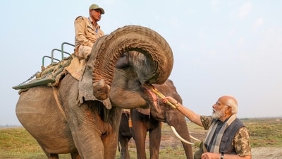 Prime Minister Narendra Modi visited Assam's Kaziranga National Park. (X/Narendra Modi) Prime Minister Narendra Modi visited Assam's Kaziranga National Park. (X/Narendra Modi)