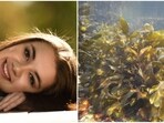 Packed with nutrients and minerals, seaweed offers incredible benefits for your skin. Packed with nutrients and minerals, seaweed offers incredible benefits for your skin.