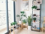 Transform your living space into a tranquil oasis by drawing inspiration from nature. Transform your living space into a tranquil oasis by drawing inspiration from nature.