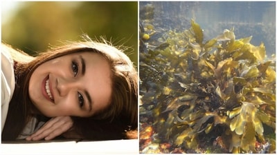 Packed with nutrients and minerals, seaweed offers incredible benefits for your skin. (Wikipedia/Unsplash) Packed with nutrients and minerals, seaweed offers incredible benefits for your skin. (Wikipedia/Unsplash)
