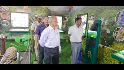 Considering the tourism potential of this place, the forest department began an ecotourism project in the area which not only provides detailed information about the biodiversity of this area but also creates environmental awareness among people visiting the sanctuary. (HT PHOTO) Considering the tourism potential of this place, the forest department began an ecotourism project in the area which not only provides detailed information about the biodiversity of this area but also creates environmental awareness among people visiting the sanctuary. (HT PHOTO)