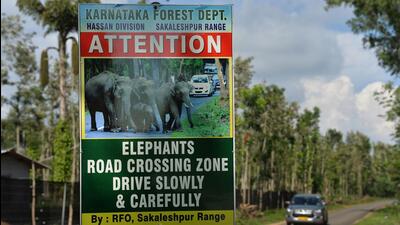 The agreement focuses on identifying the root causes of human-wildlife conflicts, delineating conflict zones, etc. (AFP) The agreement focuses on identifying the root causes of human-wildlife conflicts, delineating conflict zones, etc. (AFP)