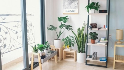 Transform your living space into a tranquil oasis by drawing inspiration from nature. (Unsplash) Transform your living space into a tranquil oasis by drawing inspiration from nature. (Unsplash)