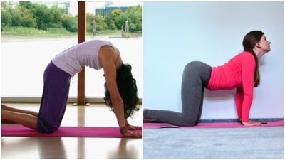 6. Cat-Cow Stretch: This dynamic movement warms up the spine and stretches the abdomen, promoting flexibility and circulation in the pelvic area. Start on your hands and knees with your wrists directly under your shoulders and your knees under your hips. Inhale as you arch your back and lift your chest (cow pose), then exhale as you round your spine and tuck your chin to your chest (cat pose). Continue flowing between these two poses for several breaths. Incorporate these Yoga poses and practices into your routine consistently to experience the benefits of improved bladder health. Remember to listen to your body and modify any poses as needed to suit your individual needs and abilities. Additionally, if you have any existing medical conditions or concerns, it's always a good idea to consult with a healthcare professional before starting a new exercise program. (Instagram/yoga.daily.inspirations) 6. Cat-Cow Stretch: This dynamic movement warms up the spine and stretches the abdomen, promoting flexibility and circulation in the pelvic area. Start on your hands and knees with your wrists directly under your shoulders and your knees under your hips. Inhale as you arch your back and lift your chest (cow pose), then exhale as you round your spine and tuck your chin to your chest (cat pose). Continue flowing between these two poses for several breaths. Incorporate these Yoga poses and practices into your routine consistently to experience the benefits of improved bladder health. Remember to listen to your body and modify any poses as needed to suit your individual needs and abilities. Additionally, if you have any existing medical conditions or concerns, it's always a good idea to consult with a healthcare professional before starting a new exercise program. (Instagram/yoga.daily.inspirations)