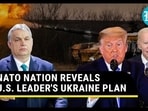 NATO NATION REVEALS U.S. LEADER'S UKRAINE PLAN NATO NATION REVEALS U.S. LEADER'S UKRAINE PLAN