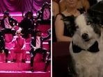 From Ryan Gosling's kenergy to Anatomy of a Fall's Snoop, the Oscars put up a terrific evening.