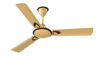 Best V-Guard fans are a perfect blend of safety, longevity, and aesthetics. Best V-Guard fans are a perfect blend of safety, longevity, and aesthetics.