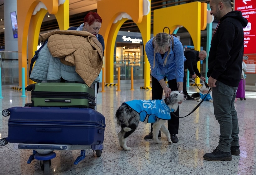 A passenger pets therapy dog at Istanbul Airport. (Reuters)