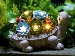 Elevate your lawn with the best garden decor ideas.