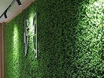 Best grass walls: Top 10 picks to transform your indoor vibe.