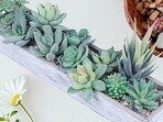  Artificial plants for home decor retain their vibrant and lifelike appearance throughout the year