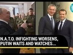 NATO infighting NATO infighting