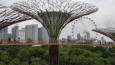 Tourists walk on the Supertree skywalk at Gardens by the Bay in Singapore. Singapore eases travel hassles, introduces QR code system in place of passports for border crossings. (Photo by Mohd RASFAN / AFP) Tourists walk on the Supertree skywalk at Gardens by the Bay in Singapore. Singapore eases travel hassles, introduces QR code system in place of passports for border crossings. (Photo by Mohd RASFAN / AFP)