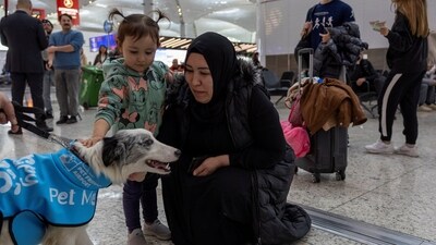 Passengers pet one of five therapy dogs as they roam Istanbul Airport, searching for stressed passengers who are looking to calm their nerves before they board their flight. (Reuters)