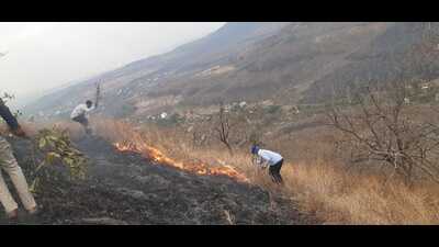 The increasing incidence of forest fires is being attributed to higher temperatures recorded this winter in Pune. (HT PHOTO) The increasing incidence of forest fires is being attributed to higher temperatures recorded this winter in Pune. (HT PHOTO)