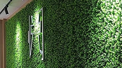 Best grass walls: Top 10 picks to transform your indoor vibe. Best grass walls: Top 10 picks to transform your indoor vibe.