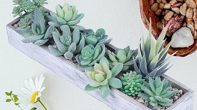 Artificial plants for home decor retain their vibrant and lifelike appearance throughout the year Artificial plants for home decor retain their vibrant and lifelike appearance throughout the year
