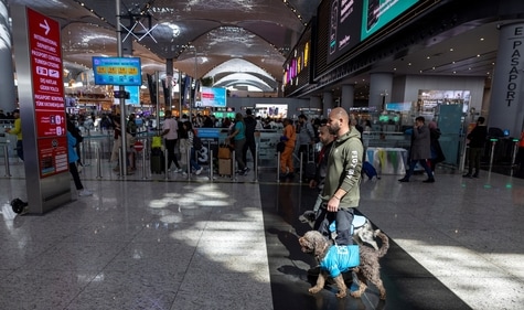 Therapy dogs roam Istanbul Airport, searching for stressed passengers who are looking to calm their nerves before they board their flight. (Reuters)