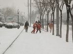 Colorado braces for biggest snowstorm of the season (Representational image - Pixabay) Colorado braces for biggest snowstorm of the season (Representational image - Pixabay)