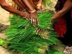 Chhattisgarh government had promised to distribute a two-year pending bonus for paddy procurement to farmers across the state.. (AP Photo/Rajesh Kumar Singh)