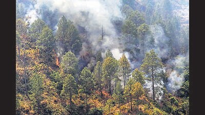 Putting the sacred back into our relationship with nature will give an added fillip to our efforts to stave off climate change.