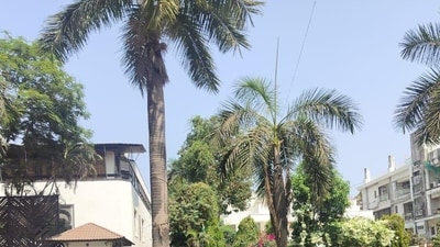 Amitabh Bachchan’s bungalow Jalsa's adjoining property will be put for auction on March 27.(Pixabay) Amitabh Bachchan’s bungalow Jalsa's adjoining property will be put for auction on March 27.(Pixabay)