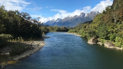 International Day of Action for Rivers serves as a global platform to raise awareness about the importance of rivers and advocate for their protection. (Unsplash) International Day of Action for Rivers serves as a global platform to raise awareness about the importance of rivers and advocate for their protection. (Unsplash)