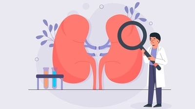 Every year, World Kidney Day is observed on the second Thursday of the month of March. (Freepik) Every year, World Kidney Day is observed on the second Thursday of the month of March. (Freepik)