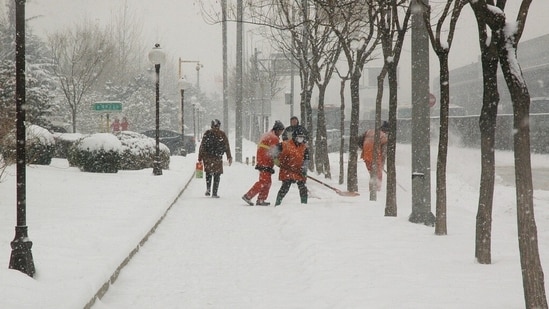 Colorado braces for biggest snowstorm of the season (Representational image - Pixabay)