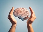 Mental Health (representative image)(Unsplash)