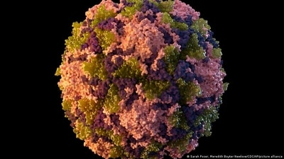Despite progress, wild poliovirus persists in Afghanistan and Pakistan while vaccine-derived poliovirus spreads in Africa. (Sarah Poser, Meredith Boyter Newlove/CDC/AP/picture alliance) Despite progress, wild poliovirus persists in Afghanistan and Pakistan while vaccine-derived poliovirus spreads in Africa. (Sarah Poser, Meredith Boyter Newlove/CDC/AP/picture alliance)