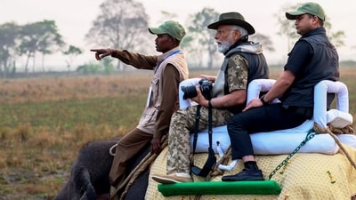 Indias' interest peaked after he posted a photo gallery on X (formerly Twitter), highlighting the diverse ecosystem and the one-horned rhinoceros. Indias' interest peaked after he posted a photo gallery on X (formerly Twitter), highlighting the diverse ecosystem and the one-horned rhinoceros.