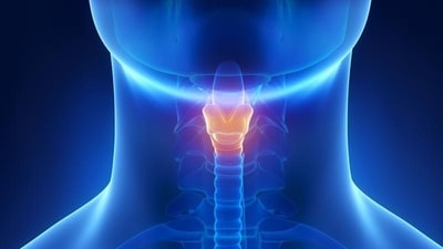When a person loses their voice today, the easiest fix is to resort to typing, texting, or writing notes to communicate. (Shutterstock) When a person loses their voice today, the easiest fix is to resort to typing, texting, or writing notes to communicate. (Shutterstock)