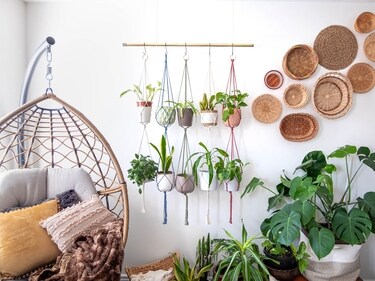 Using rattan swing chairs adds to the rustic charm (Shutterstock)