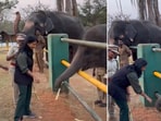 The image shows IAS Supriya Sahu feeding the calves featured in the Oscar-winning documentary The Elephant Whisperers. The image shows IAS Supriya Sahu feeding the calves featured in the Oscar-winning documentary The Elephant Whisperers.