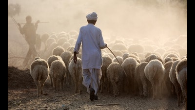 “After the most enchanting descriptions of how the Thar’s residents have coaxed water and agriculture from a seemingly punishing terrain, she reveals how limestone mines, windmills, and a canal — supposedly harbingers of development — have destroyed its water sources, wildlife, agricultural fields, and knowledge nurtured over centuries. “ (Dietmar Temps/Shutterstock) “After the most enchanting descriptions of how the Thar’s residents have coaxed water and agriculture from a seemingly punishing terrain, she reveals how limestone mines, windmills, and a canal — supposedly harbingers of development — have destroyed its water sources, wildlife, agricultural fields, and knowledge nurtured over centuries. “ (Dietmar Temps/Shutterstock)