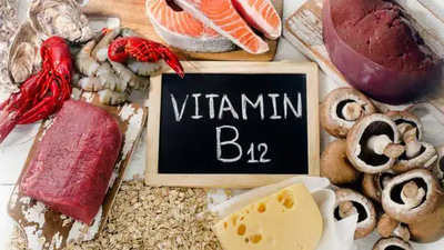 Top 10 foods rich in vitamin B12 that can be incorporated into your diet to support stress management (Photo by Live Hindustan) Top 10 foods rich in vitamin B12 that can be incorporated into your diet to support stress management (Photo by Live Hindustan)