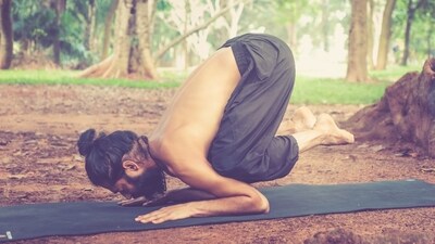 7. Crow Pose (Bakasana): Start in a squat position with your feet hip-width apart and your palms flat on the mat in front of you. Shift your weight forward onto your hands, bending your elbows slightly. Lift your feet off the ground and balance on your hands, engaging your arm muscles to support your body weight. (Himalayan Siddhaa Akshar) 7. Crow Pose (Bakasana): Start in a squat position with your feet hip-width apart and your palms flat on the mat in front of you. Shift your weight forward onto your hands, bending your elbows slightly. Lift your feet off the ground and balance on your hands, engaging your arm muscles to support your body weight. (Himalayan Siddhaa Akshar)