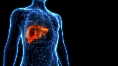 Madrigal Pharmaceuticals Inc.’s drug Rezdiffra gained the first US approval to treat a potentially deadly liver disease that affects millions worldwide, succeeding in an area where some bigger rivals have failed. (File photo) Madrigal Pharmaceuticals Inc.’s drug Rezdiffra gained the first US approval to treat a potentially deadly liver disease that affects millions worldwide, succeeding in an area where some bigger rivals have failed. (File photo)