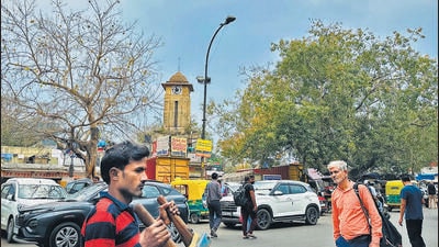 Outside Kamla Market clock tower (the clock doesn’t work), a completely leafy peepal stands beside a completely leafless peepal. (HT Photo) Outside Kamla Market clock tower (the clock doesn’t work), a completely leafy peepal stands beside a completely leafless peepal. (HT Photo)