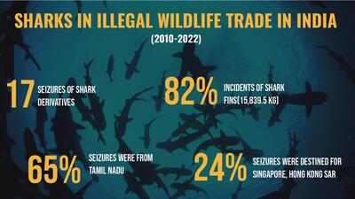 The confiscated products were transported to Singapore, Hong Kong Special Administrative Region, Sri Lanka, and mainland China. (Image sourced from WWF)