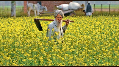 This year the state government has started preparations in advance for the 2024 kharif and has set a target of spending ₹500 crore on subsidy to the farmers for purchasing machines for crop residue management. This year the state government has started preparations in advance for the 2024 kharif and has set a target of spending ₹500 crore on subsidy to the farmers for purchasing machines for crop residue management.