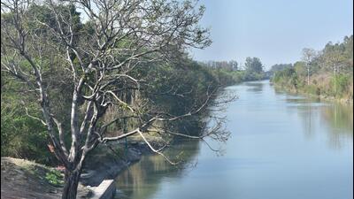 Tress seen around the Upper Ganga Canal in Ghaziabad as on Friday, the NGT has also sought reports from respondents and they are to be submitted before the tribunal at least one week before the next date of hearing on May 20. (Sakib Ali/HT Photo) Tress seen around the Upper Ganga Canal in Ghaziabad as on Friday, the NGT has also sought reports from respondents and they are to be submitted before the tribunal at least one week before the next date of hearing on May 20. (Sakib Ali/HT Photo)