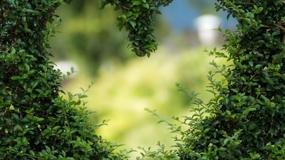 Daily Love and Relationship Horoscope 2024: Find out love predictions for March 16. Daily Love and Relationship Horoscope 2024: Find out love predictions for March 16.