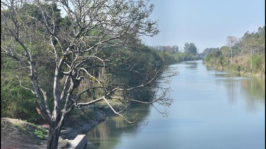 Tress seen around the Upper Ganga Canal in Ghaziabad as on Friday, the NGT has also sought reports from respondents and they are to be submitted before the tribunal at least one week before the next date of hearing on May 20. (Sakib Ali/HT Photo)
