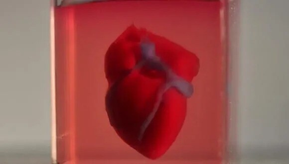 The world’s first 3D-printed heart, made in Tel Aviv. (Image: Tel Aviv University) The world’s first 3D-printed heart, made in Tel Aviv. (Image: Tel Aviv University)