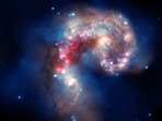 antennae