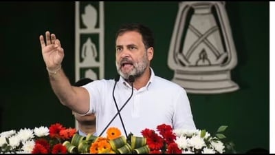 In the 2019 LS elections, senior party leader Rahul Gandhi suffered a defeat to union minister Smriti Irani in Amethi. (Sourced) In the 2019 LS elections, senior party leader Rahul Gandhi suffered a defeat to union minister Smriti Irani in Amethi. (Sourced)